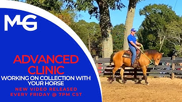 Working On Collection With Your Horse | The Horse Guru - Michael Gascon