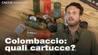 Wood Pigeon Hunting Cartridges - Caccia Magazine Academy screenshot 5