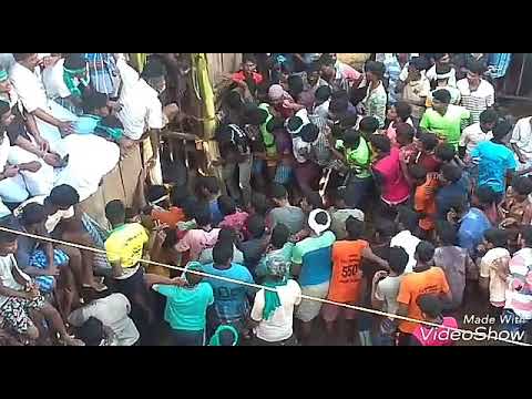Elandai saravanan madu(1)