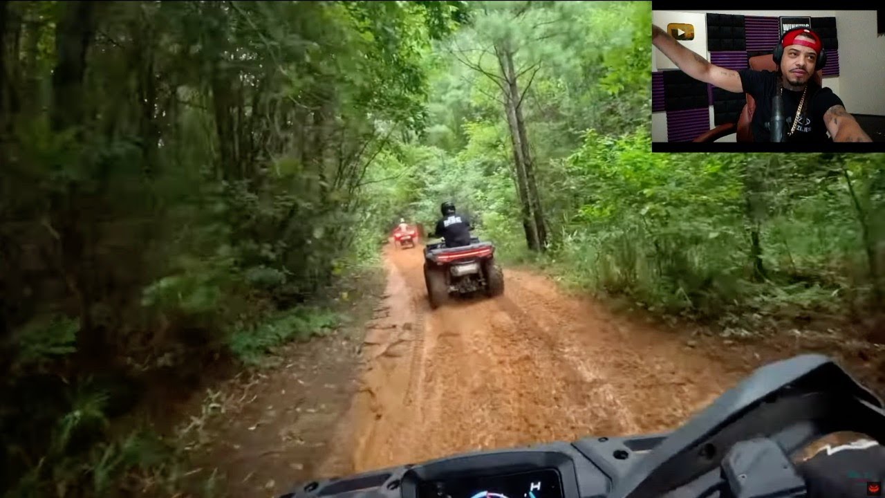 Затерянный лес | Реакция