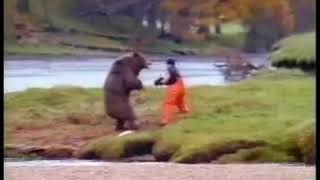 Oso Ninja - Vaporwade