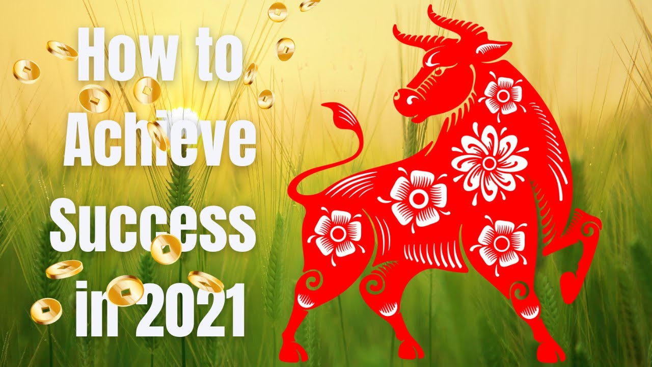 Success in 2021 Year of the Ox  How to achieve your goals