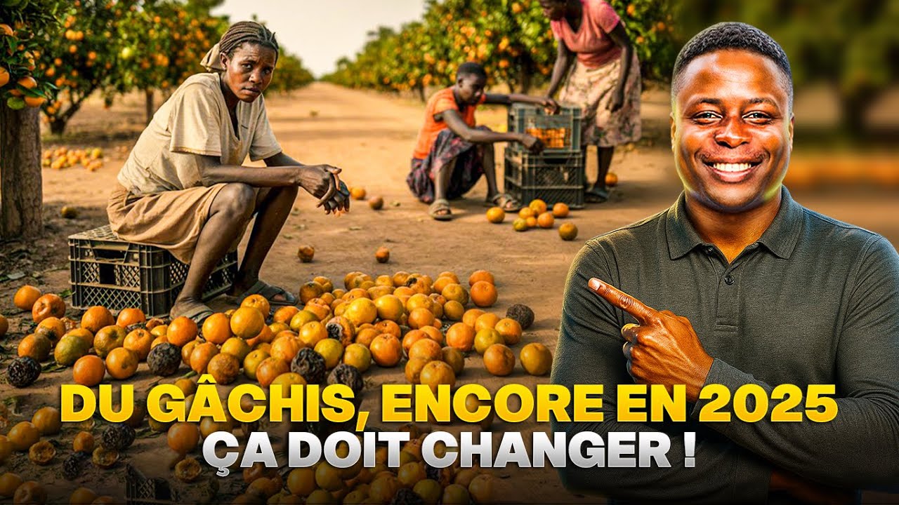 orange-au-b-nin-elles-vendent-la-brade-ou-a-pourrit-jusqu