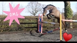 Free jumping my grand prix dressage ...