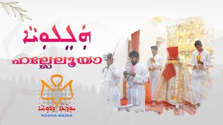 Video thumbnail of "Halleluia | Syro Malabar | East Syriac | Liturgical Hymn | Gospel Procession | Rooha Media"