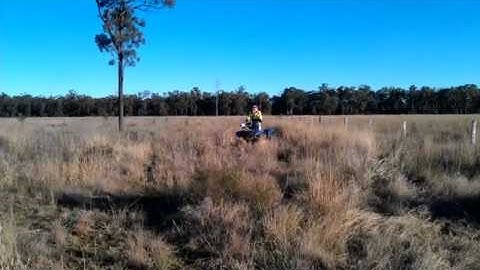 Measuring EM38 on grass pasture