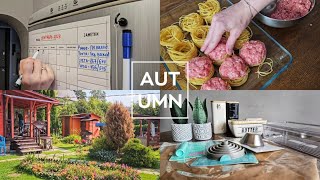 видео: Привет, Осень 🍂| Распаковка Fix Price | Отдых на даче | Готовлю фаршированные гнезда | Домашние дела картинка: Привет, Осень 🍂| Распаковка Fix Price | Отдых на даче | Готовлю фаршированные гнезда | Домашние дела