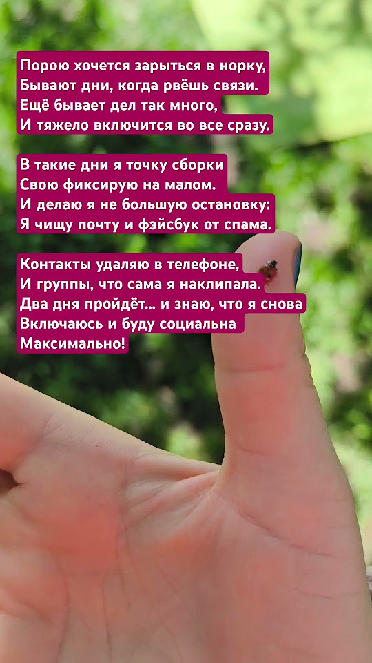 Норка - YouTube