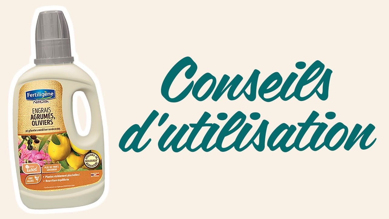 Engrais Agrumes, Oliviers et Plantes Méditerranéennes à diluer Fertiligène - Conseils d'utilisation