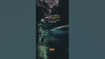 وما توفيقي إلا بالله #قرآن_كريم #سورة_هود #مشاري_العفاسي #Quran #ليلة_القدر #ليلة_٢٥ #السبت