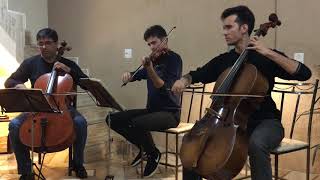 Video thumbnail of "CCB Hino 313 - Arrebatado aos Céus - Trio de Cordas, Hinario n° 5"