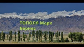 ТОПОЛЯ. поет   Марк Бернес .композитор   Ян Френкель