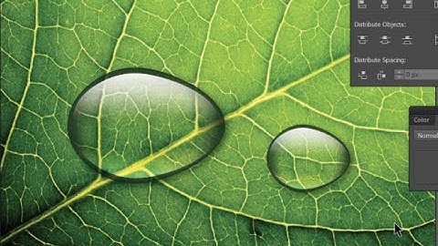 How to create a realistic water drop in Adobe Illustrator