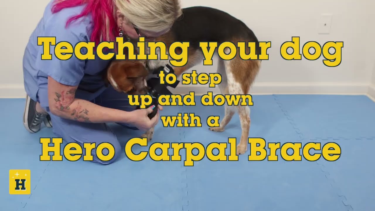 Hero Wrist Brace -Basic Exercises: Primary Position and Touchdowns