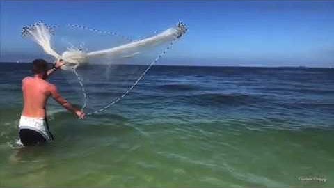 The Best Cast Nets on the Market