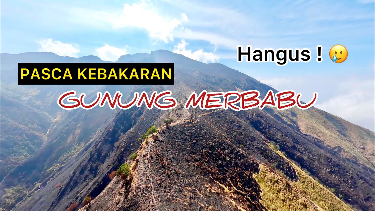 HANGUS ! PASCA KEBAKARAN GUNUNG MERBABU
