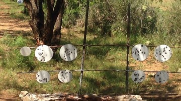 Sig Sauer SP 2022: Problem Resolved