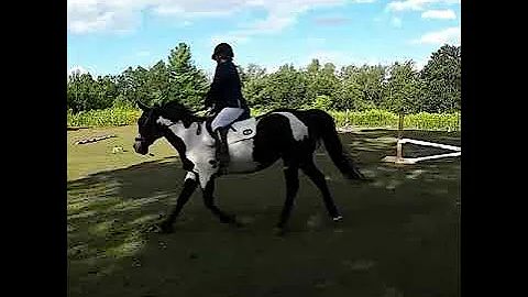 Agility Ashley Irvine & Nash