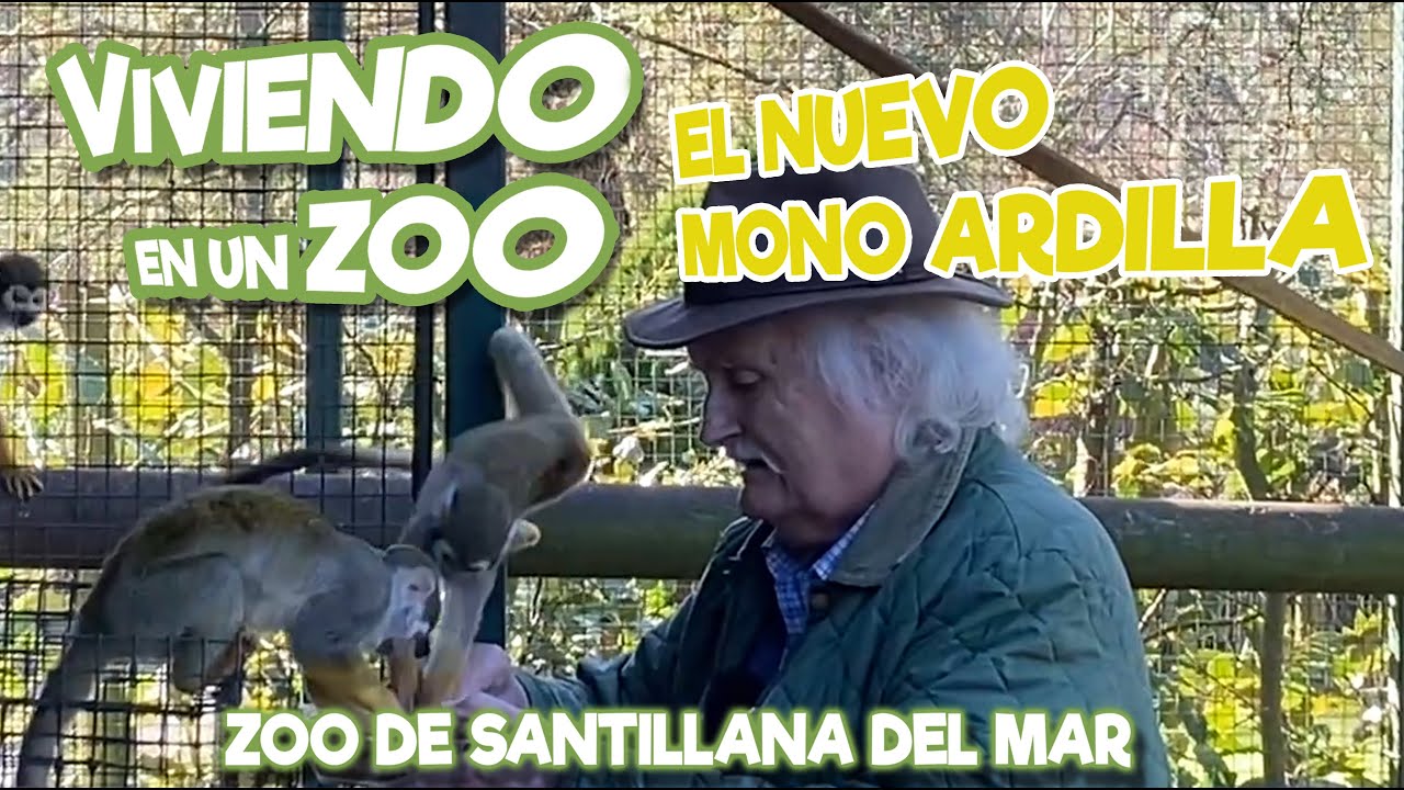 El nuevo Mono Saimiri