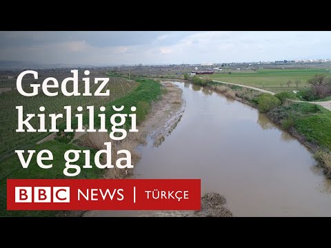 Kuraklık ve su kirliliği: Gediz Nehri'nden sofraya gıda güvenliği