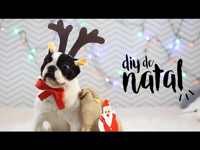 DIY de Natal | Fantasia de Rena para Cachorro - YouTube