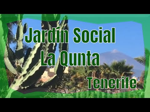 Jardín Social La Quinta - Santa Úrsula #vendevisitaatenerife 😍