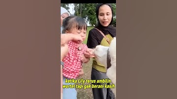LILY SI PALING KEPO TAPI TAKUT HAHAHA