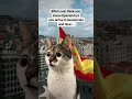 Can You Really Speak Spanish Fypp Ytshorts Malaga Spain Spain 