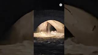La afluencia del río Tajo a su paso por Talavera derrumba parte del puente romano