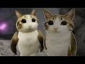 OM BUT THEY'RE ALL MEOWL | Outcome Memories Recreation