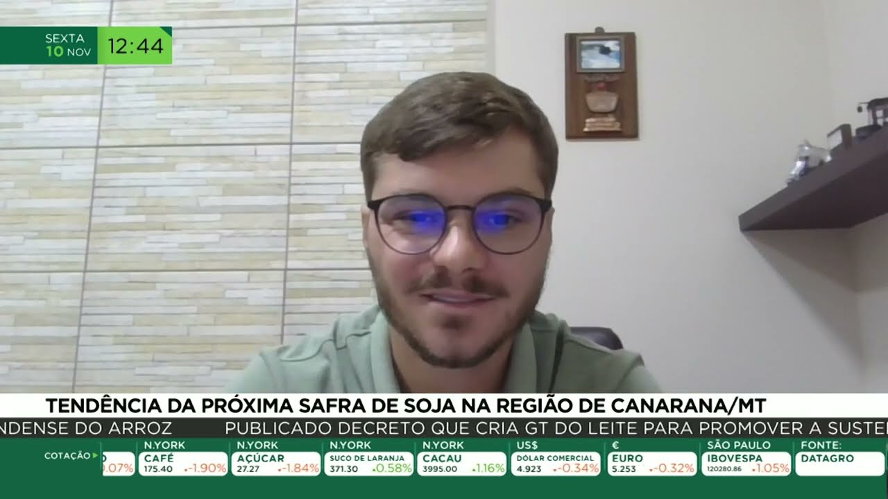 Tendências da próxima safra de soja na região de Canarana/MT