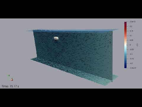 Wave-Structure Interaction