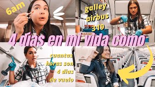 ASI ME PAGAN POR VOLAR 4 DIAS- calculando mis horas ✨TRIPULANTE DE CABINA VLOG -2022 OHHMYFIO