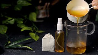 Green Tea Face Mask and Toner Mist Recipes. Healthy Bright Skin at Home. ASMR. Easy and Simple