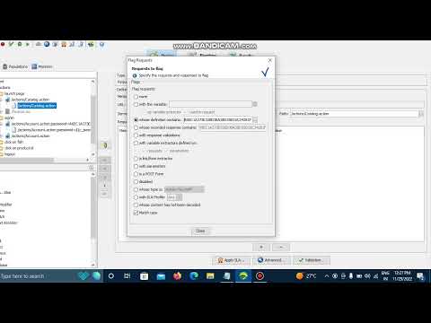 Neoload Flag options