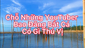 Chỗ Những YouTuber Bao Đăng Bắt Cá Ở Vũng Tàu Ra Sao Khám Phá Cùng PDVMQ