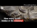 Unfinished Duan Inkstone, a testament of master carving and aesthetic of Chinese painting