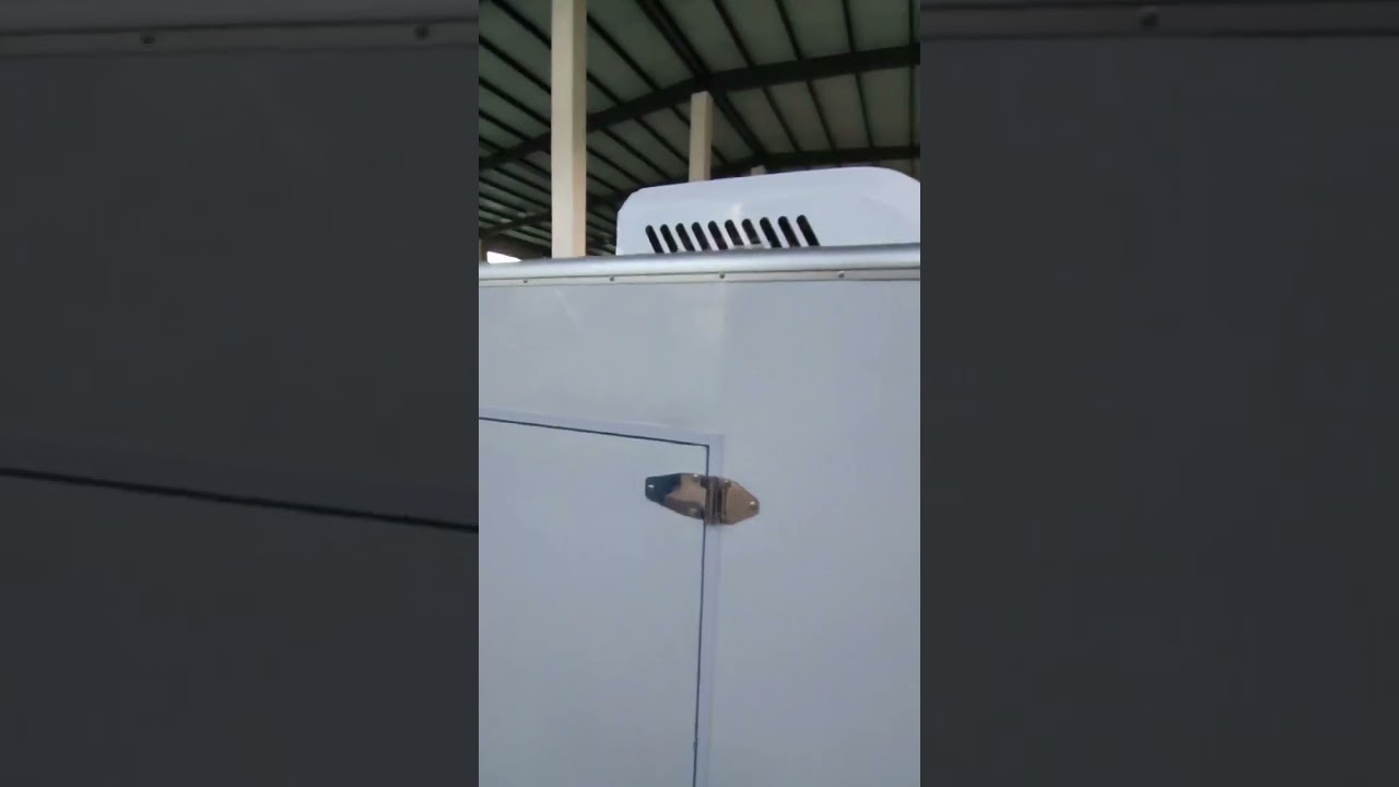 Gasoline Refrigerated Transport Tricycle