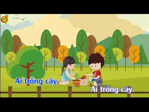 Video: Cây kẹo: mô tả, trồng trọt và sử dụng cây