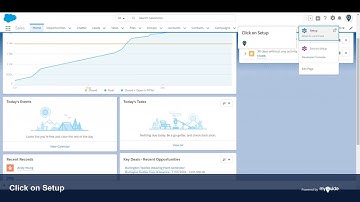 How to Customize Salesforce Branding Settings
