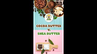 Cocoa Butter vs. Shea Butter: Which Is Better for Your Skin? #shorts #ytshorts #shortvideo