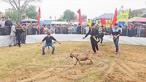 TRÒ CHƠI DÂN GIAN BỊT MẮT BẮT DÊ " LỄ HỘI BÁO BẢN LÀNG NỘN KHÊ 2025 "