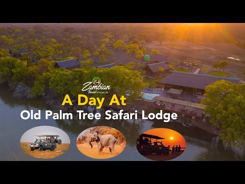 A Day  At Old Palm Tree Safari Lodge - Kafue National Park Travel - Full