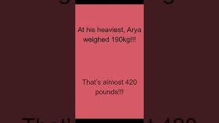 (EDUCATIONAL PURPOSES ONLY) The Story of Arya Permana