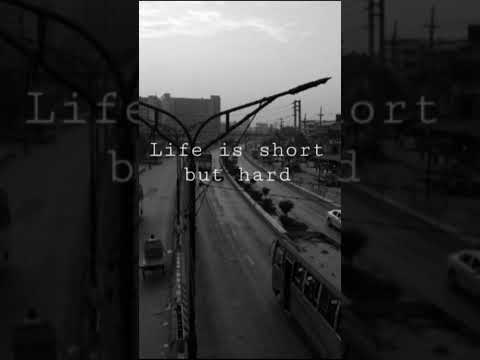 my fast short please support me