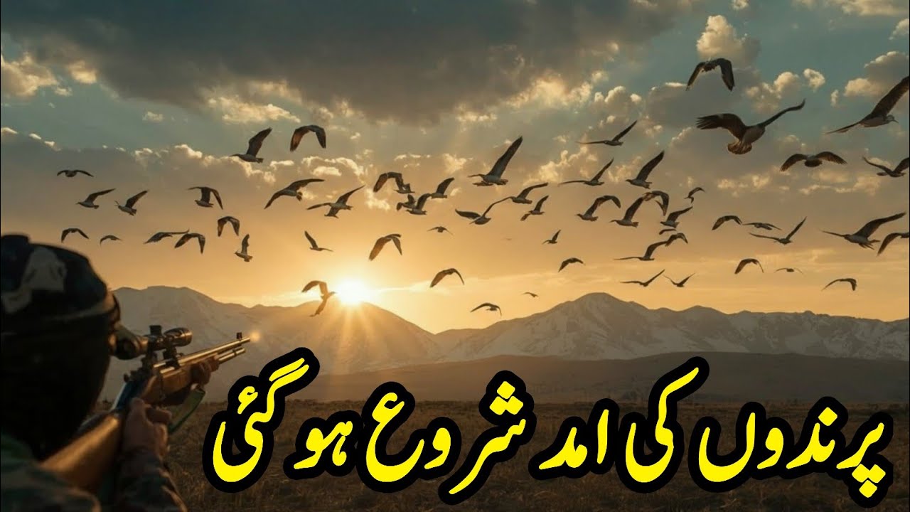 Siberia Se Pakistan Tak! Parindon Ka Lamba Safar | Amazing Bird Migration Story 🌍 | Migratory Birds 