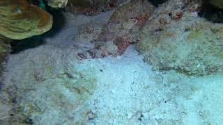 Bonaire 2022  Gh010086