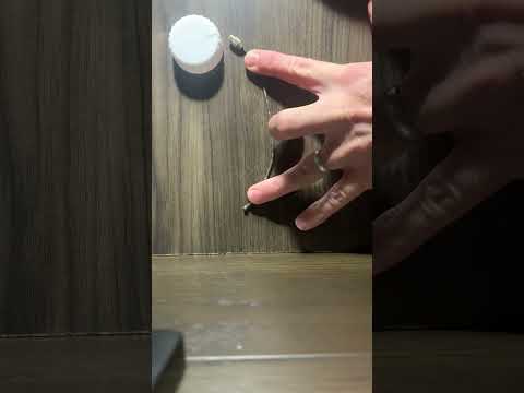 Coin Rotation Paradox