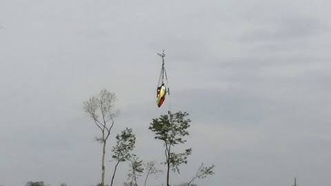 Luca Pescante tests new Align servos - T-Rex 700E DFC