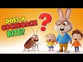 Do Cockroaches Really Bite? 😲 (Kids Science)